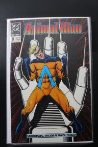 Animal Man #11 (1989)