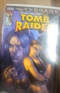 Tomb Raider #24