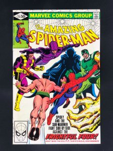 The Amazing Spider-Man #214 (1981) VF/NM