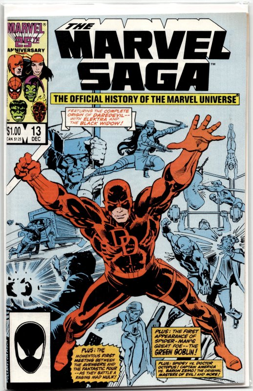 The Marvel Saga The Official History of the Marvel Universe #13 (1986) Hulk