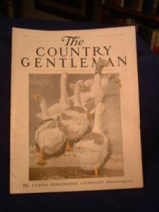 COUNTRY GENTLEMAN 1917 - Book