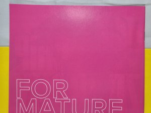 Sex Criminals #1 1st Print 2013 Image Comics Optioned