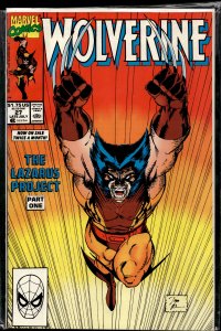 Wolverine #27 (1990) Wolverine