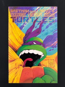 Teenage Mutant Ninja Turtles #22 (1989)