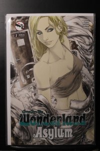 Grimm Fairy Tales presents Wonderland: Asylum #2 (2014)