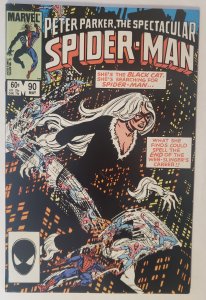 Peter Parker Spectacular Spiderman 90