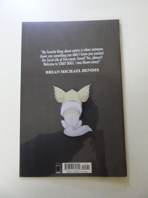 Stray Dogs #1 (2021) Acetate Variant VF/NM condition