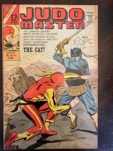 Judomaster #91 (1966)