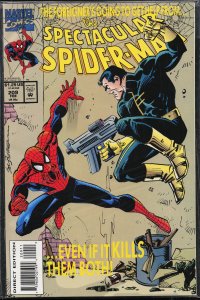 The Spectacular Spider-Man #209 (1994) Spider-Man