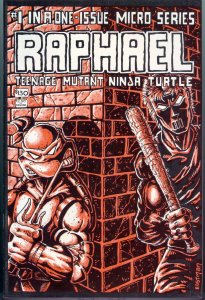 Teenage Mutant Ninja Turtles - Raphael (1985)