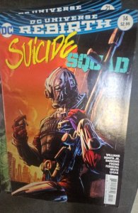 Suicide Squad #14 Variant Cover (2017)