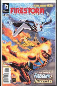 The Fury of Firestorm: The Nuclear Man #8 (2012) Firestorm