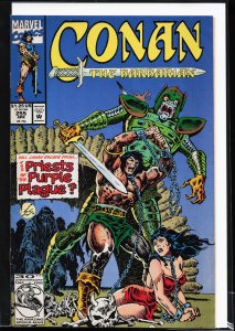 Conan the Barbarian #255 (1992) Conan