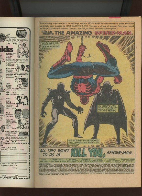 (1981) Amazing Spider-Man #213: BRONZE AGE! NEWSSTAND COPY! (7.0/7.5)