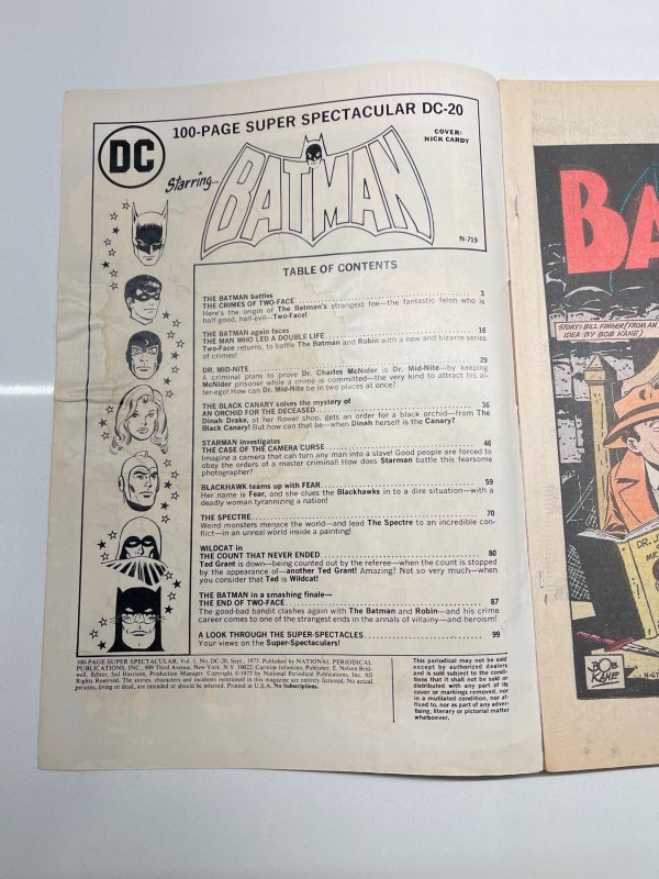 DC 100-Page Super Spectacular #20 (1973)