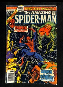Amazing Spider-Man Annual #11
