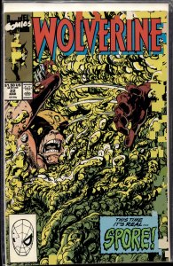 Wolverine #22 (1990) Wolverine