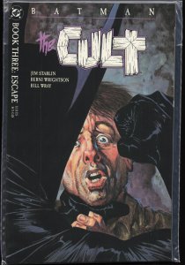 Batman: The Cult #3 (1988) Batman