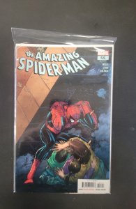The Amazing Spider-Man #55 (2024)