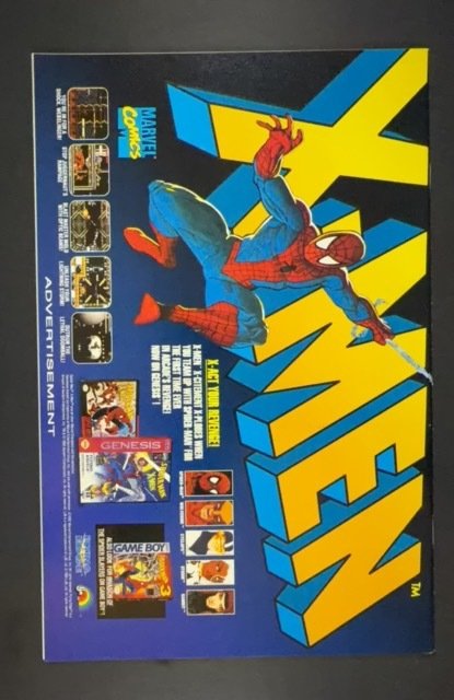 The Punisher: War Zone #19 (1993)