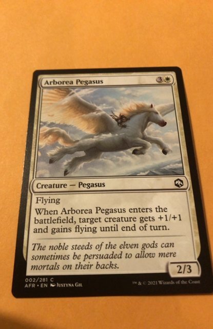 ARBOREA PEGASUS : Magic the Gathering MtG card / Adventures in Forgotten Realms