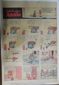 Little Orphan Annie Sunday by Harold Gray from 8/18/1929 Full Page Size !  