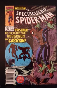 The Spectacular Spider-Man #163 (1990) FN