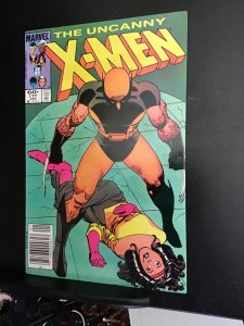 X-Men #177 (1984) high-grade wolverine cover key! VF/NM. Wow!