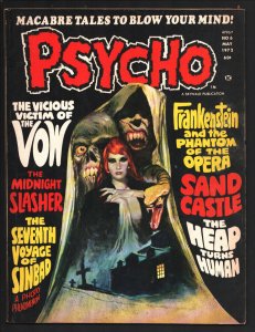 Psycho #6 1972-Skywald-Jeff Jones-Pat Boyette-Bill Everett art-Frankenstein-T...