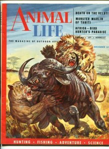 ANIMAL LIFE-DEC-1953-GORILLAS-DINOSAUR-SOUTHERN STATES PEDIGREE-vf 