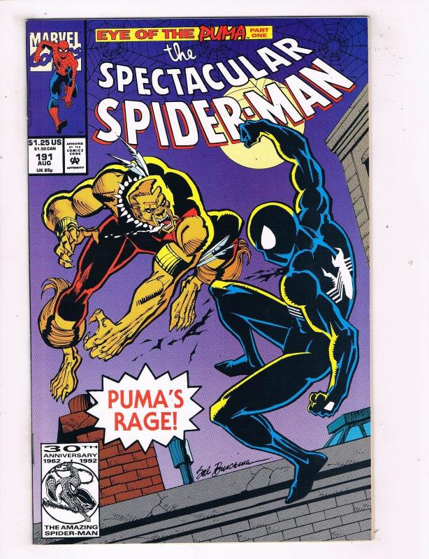 The Spectacular Spider-Man #191 NM Marvel Comics Comic Book Aug 1992 DE45