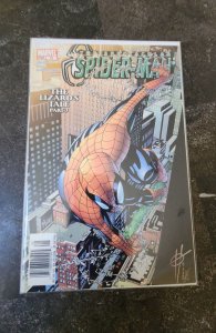 Spectacular Spider-Man #13 (2004)