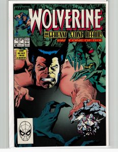 Wolverine #11 (1989) Wolverine