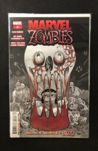 Marvel Zombies: Black, White & Blood #3 (2024)