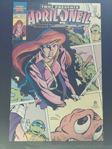 Teenage Mutant Ninja Turtles Present: April O'Neil #1 (1993)