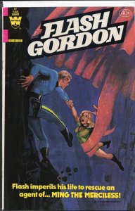 Flash Gordon #29 (1980)