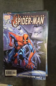 Spectacular Spider-Man #6 (2004)