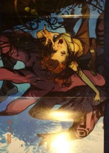 HINTERKIND WAKING WORLD  Promo Poster, 11 x 34, 2013, VERTIGO Unused 513