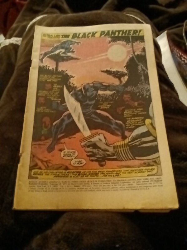 Jungle Action 8 Origin of the Black Panther 1st Appearance Malice Bronze Age Key