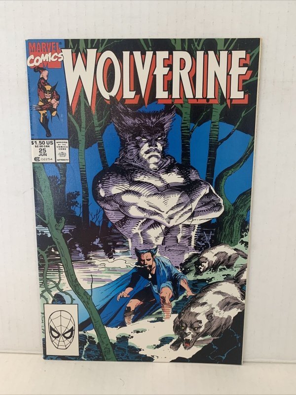 Wolverine #25 