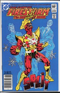 The Fury of Firestorm #13 (1983) Firestorm