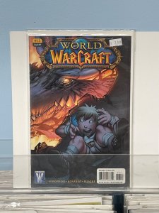 World of Warcraft #17 (2009)