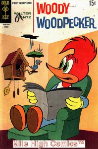 WOODY WOODPECKER (1962 Series)  (GOLD KEY) #106 Fair Comics Book