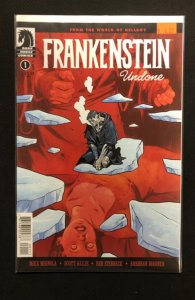 Frankenstein Undone #1  (2020)