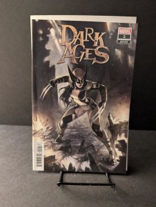 Dark Ages #2 Meghan Hetrick Variant (2021)