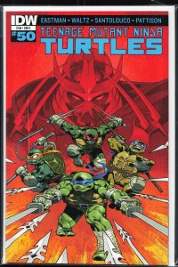 Teenage Mutant Ninja Turtles #50 Cover C (2015)