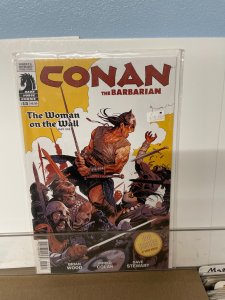 Conan the Barbarian #13 (2013)