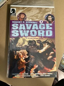 Robert E. Howard's Savage Sword #3 (2011)