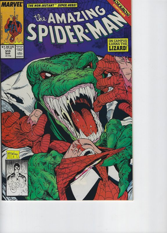 The Amazing Spider-Man #313 (1989)