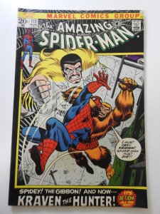 The Amazing Spider-Man #111 (1972) FN/VF Condition!
